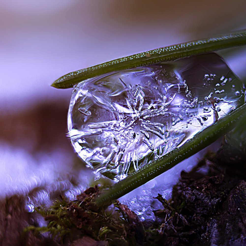 Photograph by Мария Никитина