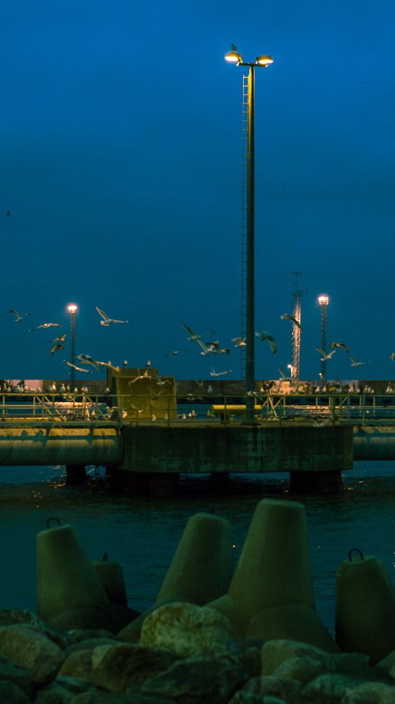 Photograph by Ivan Kotenko