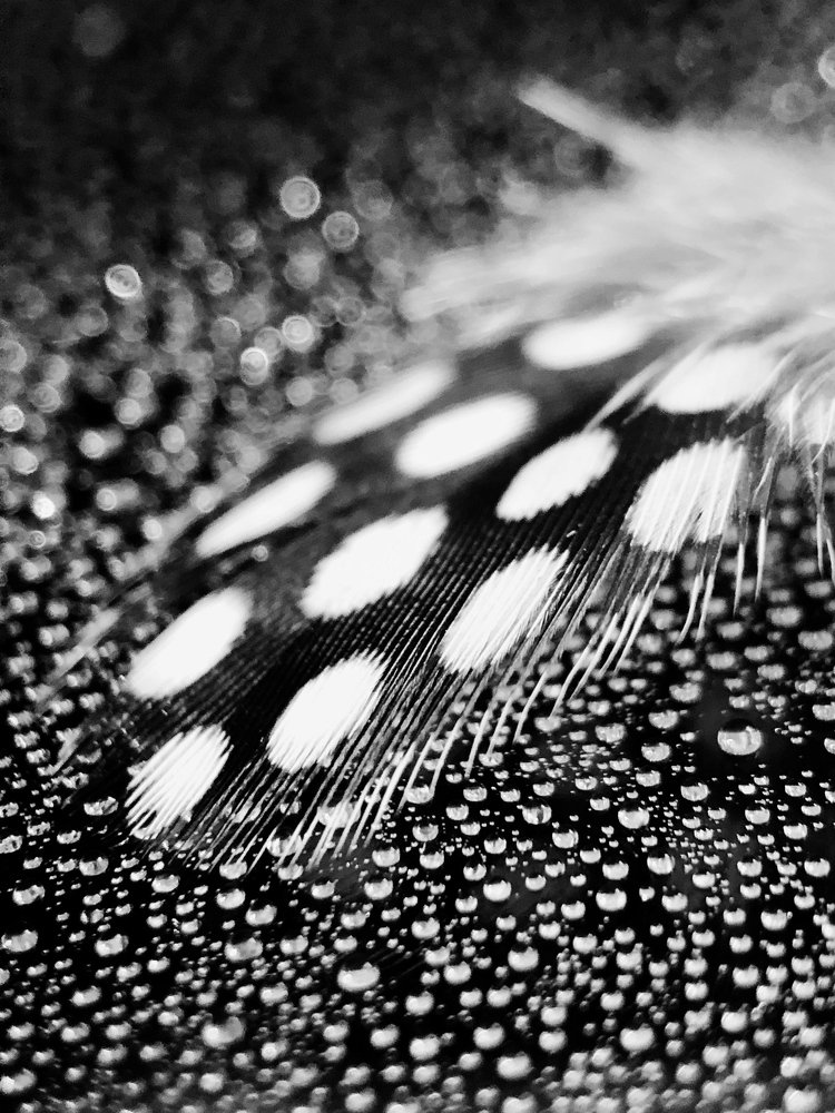 Photograph by Екатерина Безуглова