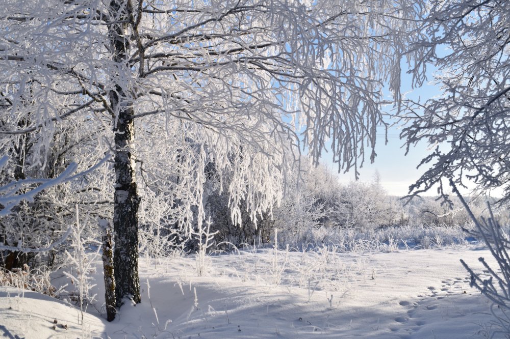 Photograph by Ярослав Думчев