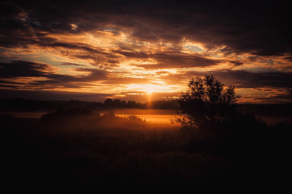 Photograph by Максим Сорокин