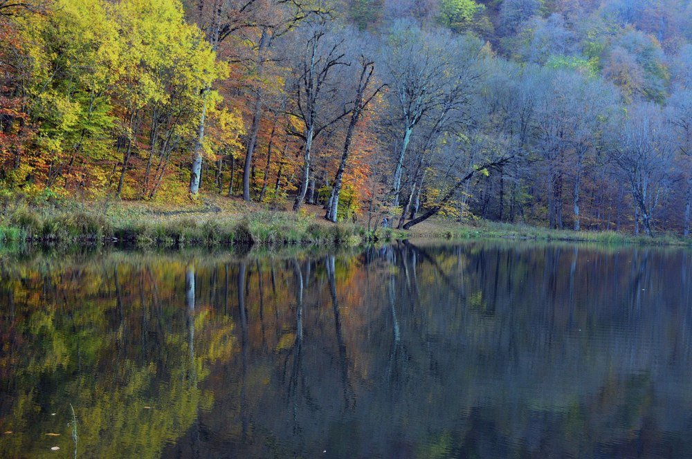 Photograph by Мариам Захарян