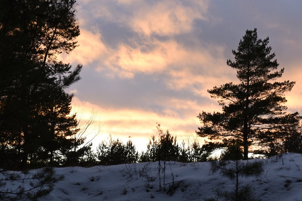 Photograph by Семен Батов