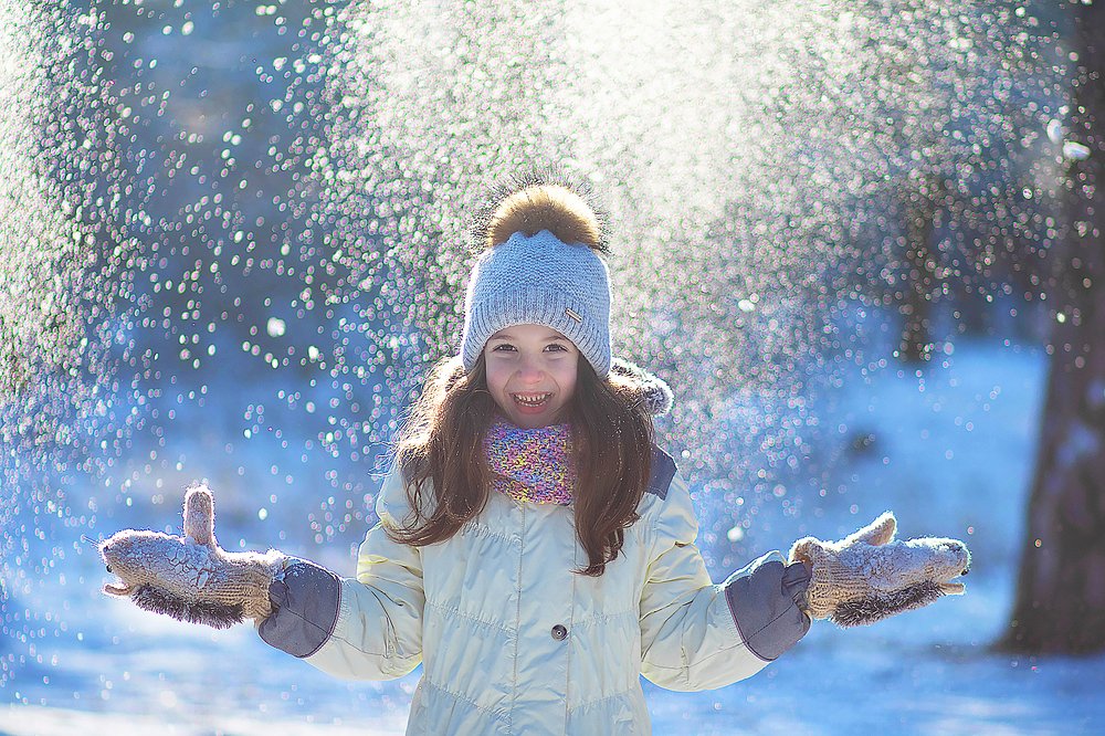 Зимний чудесный лес