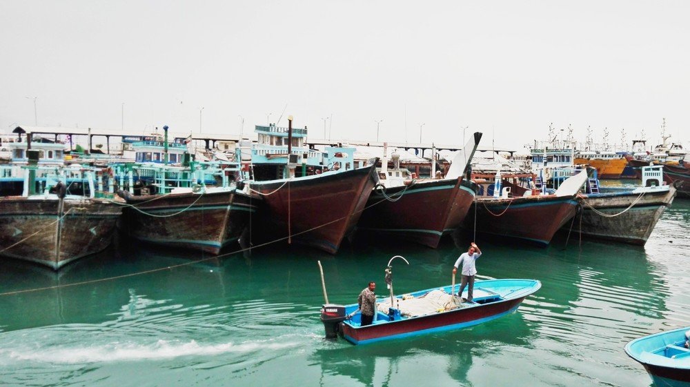 Фотография автора Mansoor Heydaryan