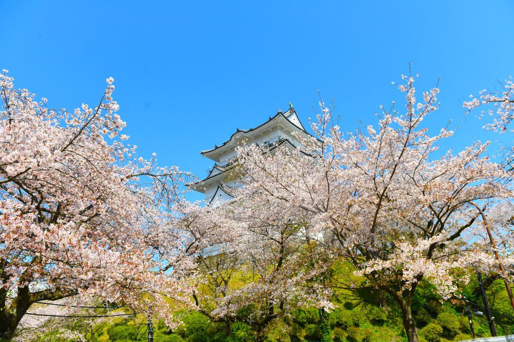 Photograph by Божена Пучко