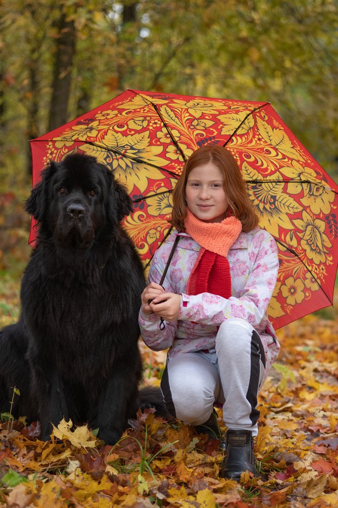 Photograph by Вячеслав Криволуцкий