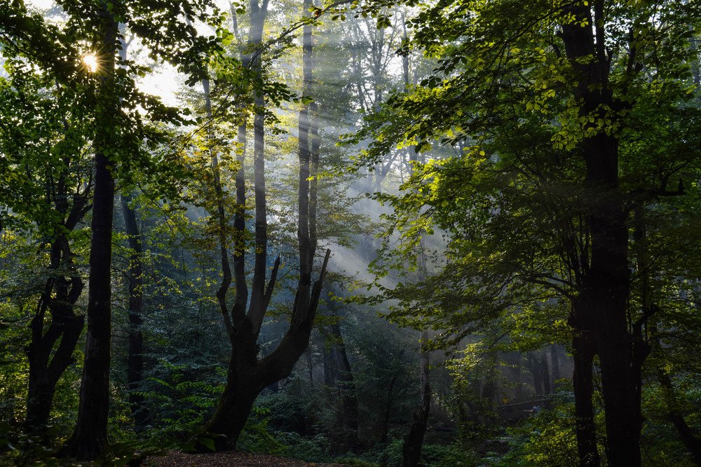 Фотография автора Mohammad amin Naderloei