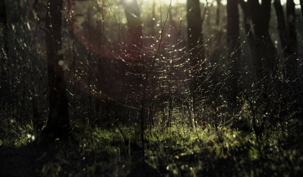 Photograph by Сергей Антонов