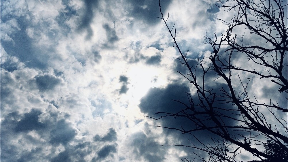 Photograph by Марина Платонова