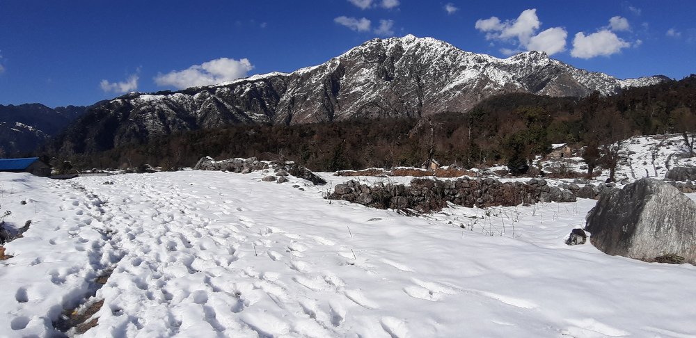 Photo #4111057