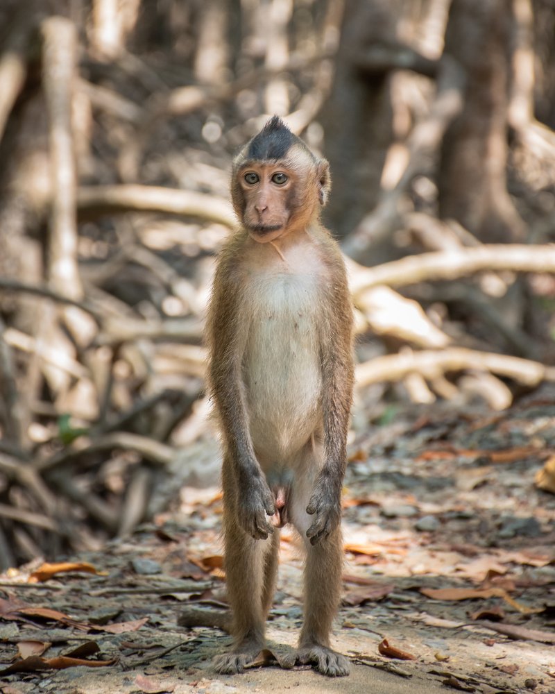 Photograph by Vasiliy Ryabykh