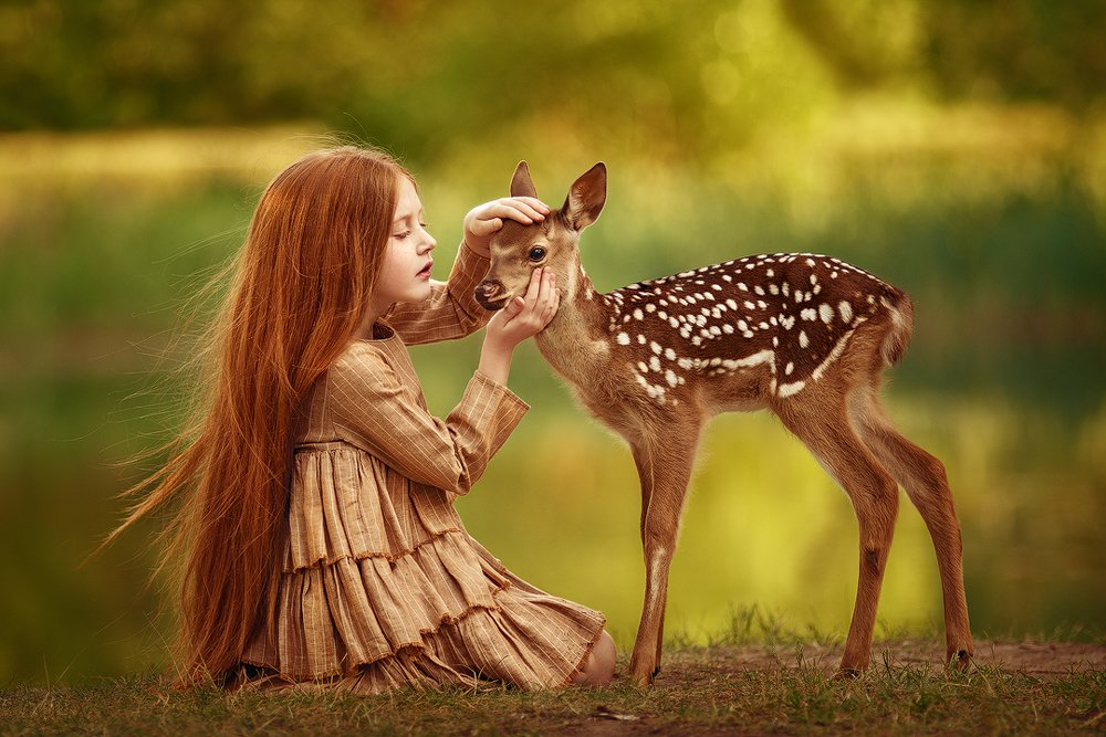 Лесная сказка для Феоны.