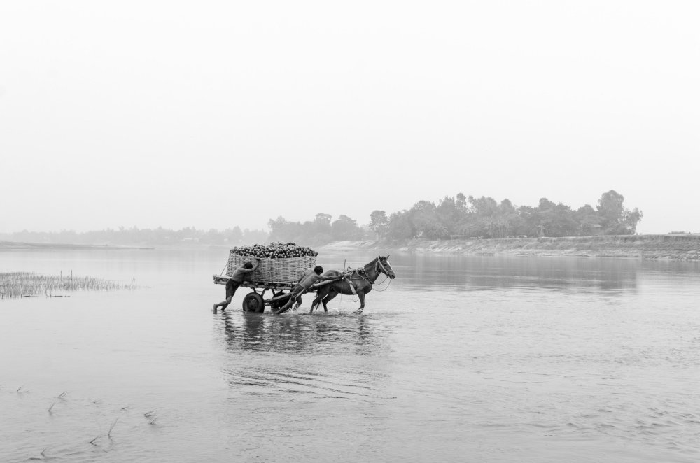 Photograph by Ayman Nakib