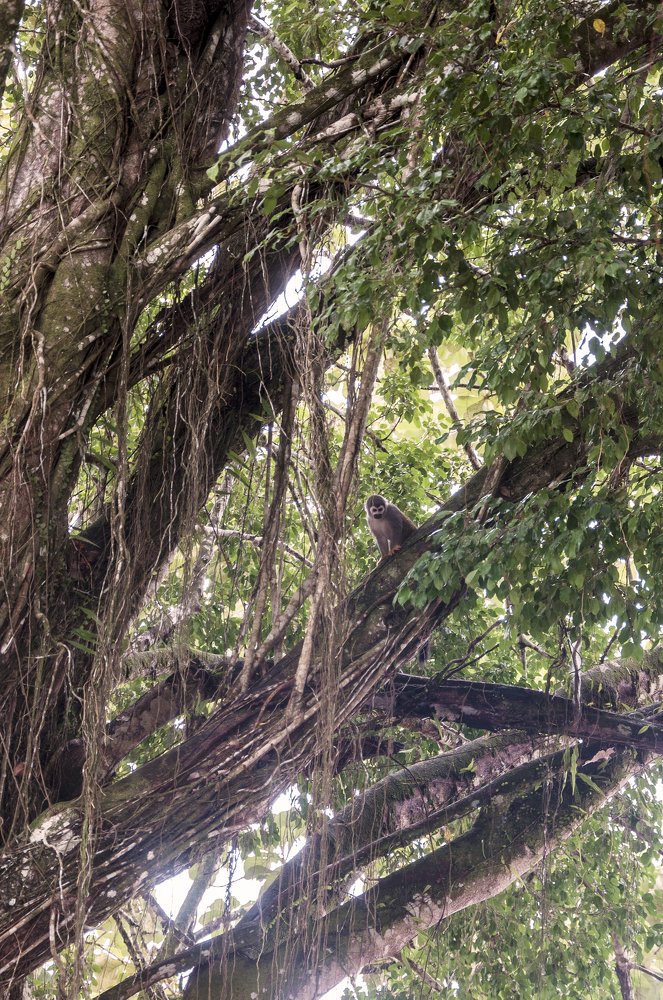 Photograph by Manuel Navas