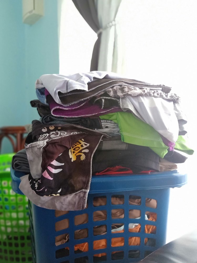 Photo #4111177