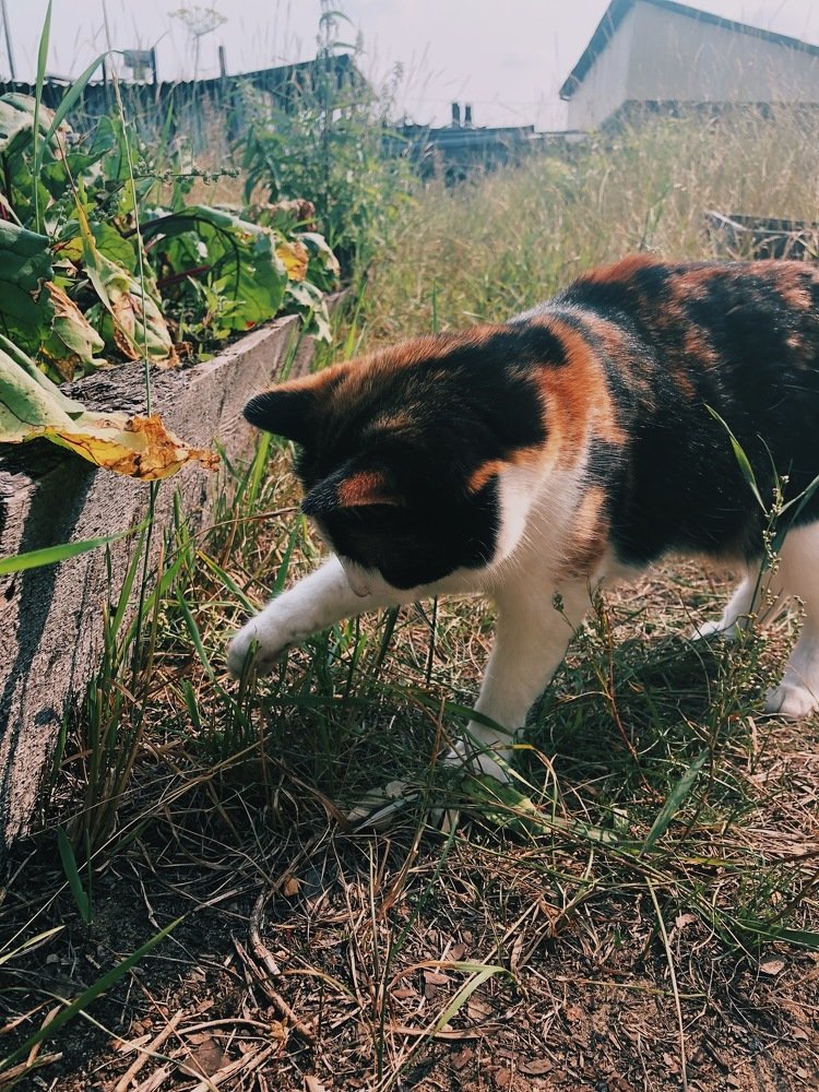 Photograph by Саргылаана Дмитриева