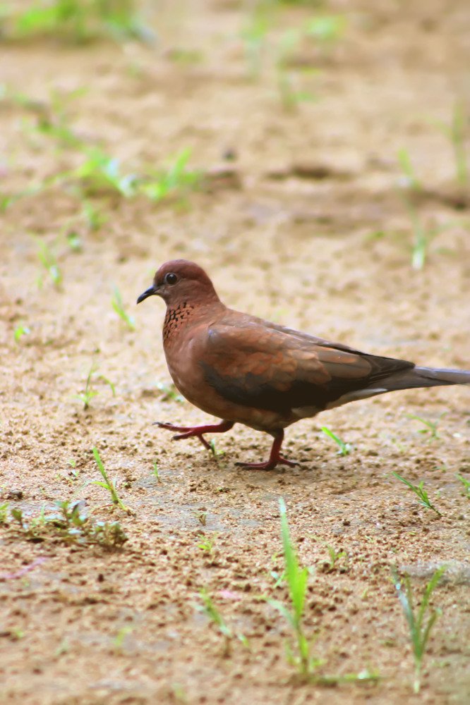Photograph by Okhakumhe Obozuwa