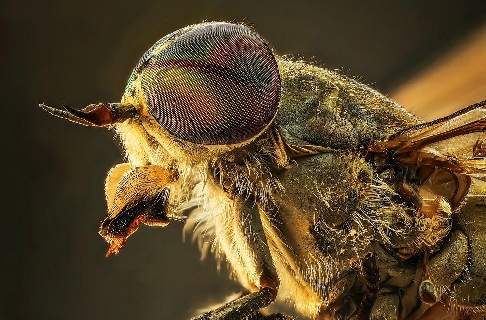 Photograph by Сергей Прокофьев