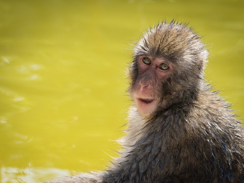 Photograph by bostjan imperl