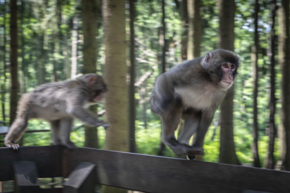 Photograph by bostjan imperl