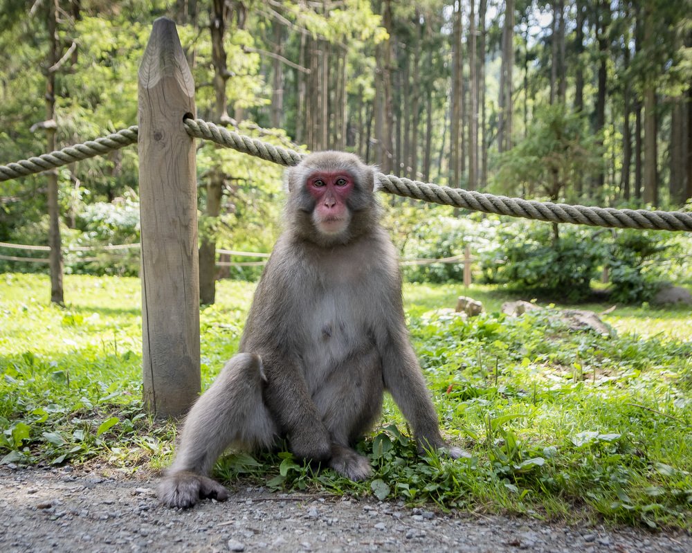 Photograph by bostjan imperl