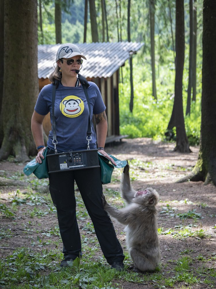 Photograph by bostjan imperl