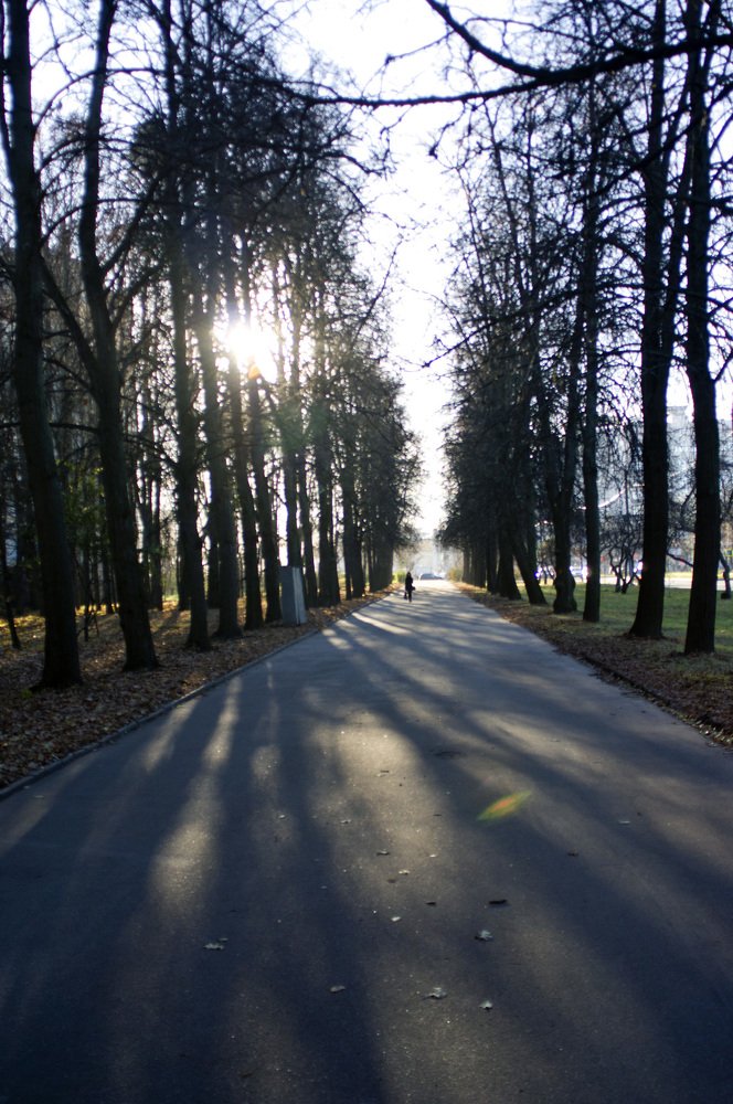 Photograph by Михаил Обертаев