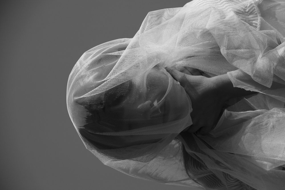 Photograph by Sara Jalali