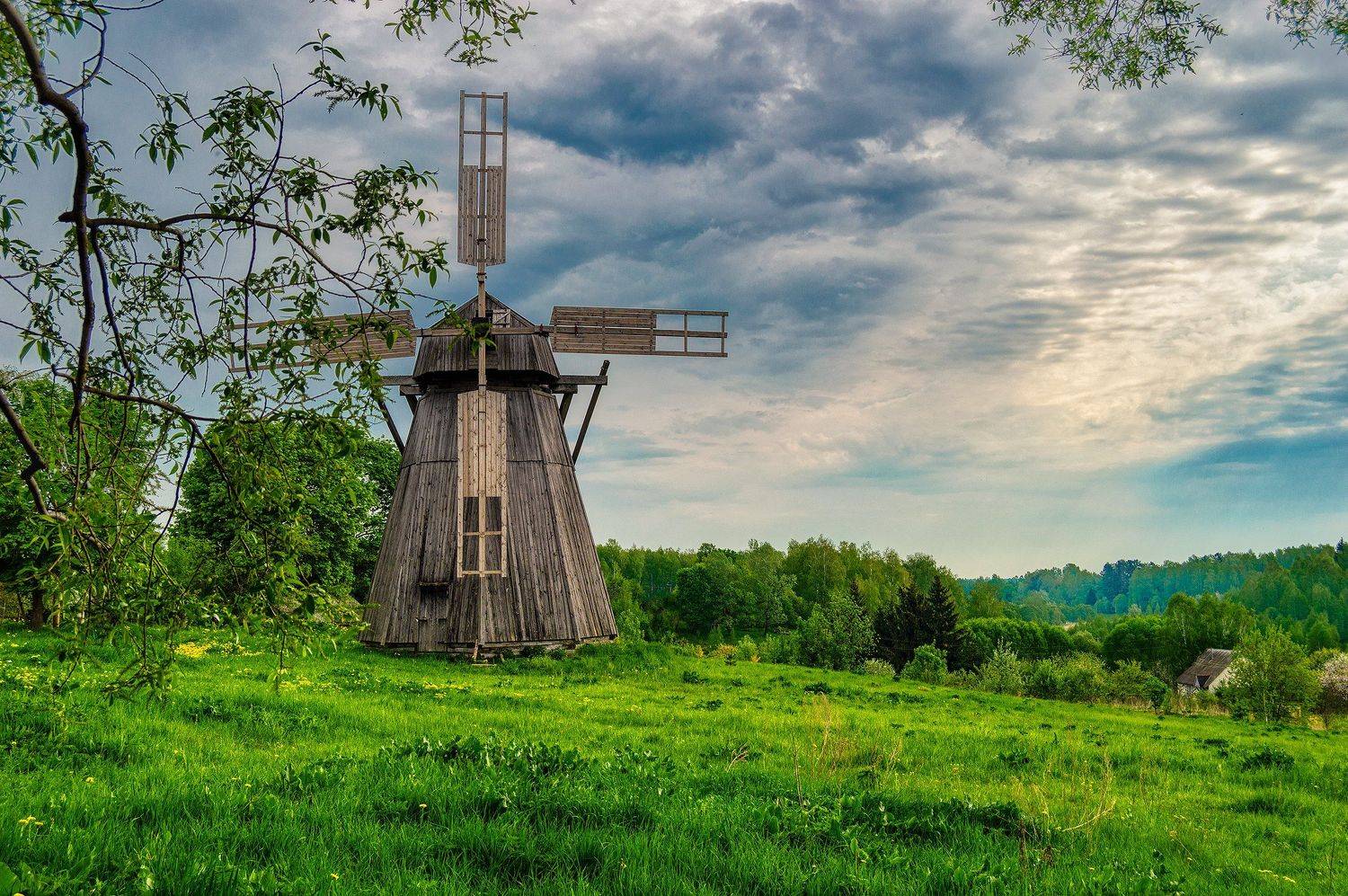 Фотография #4111737