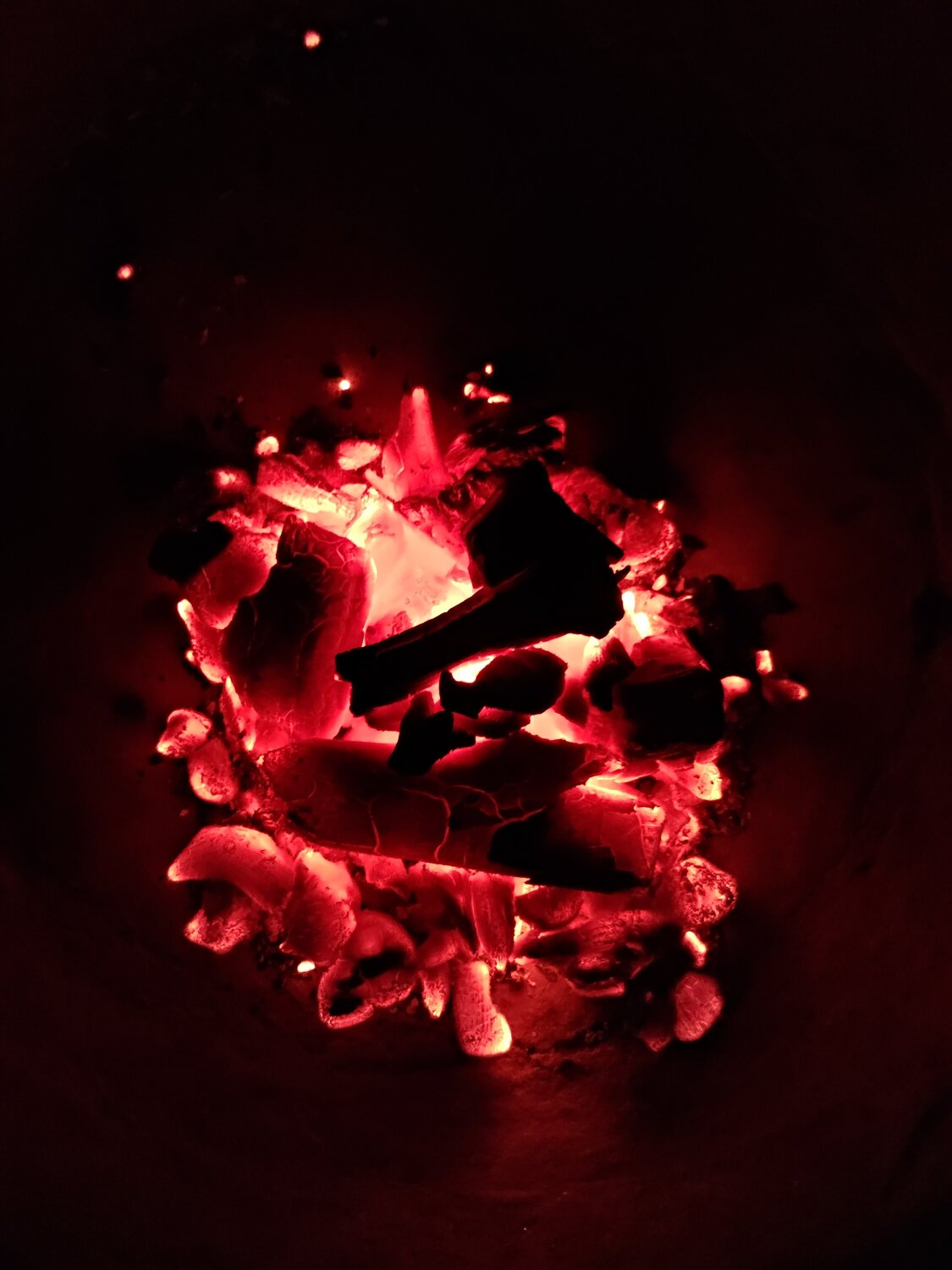 Photo #4111751
