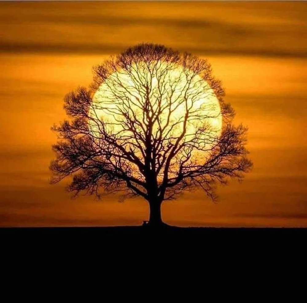 Photograph by Babar Bhatti