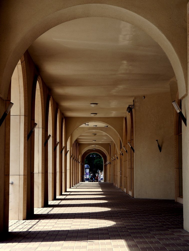 Photograph by Анастасия Егорова