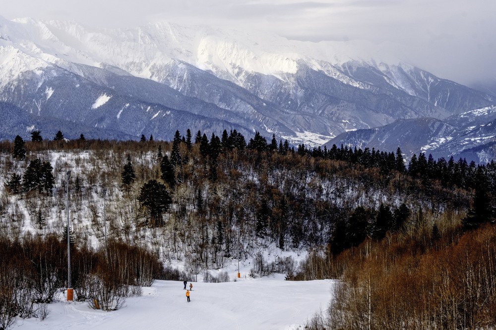 Фотография автора Ольга Огиенко