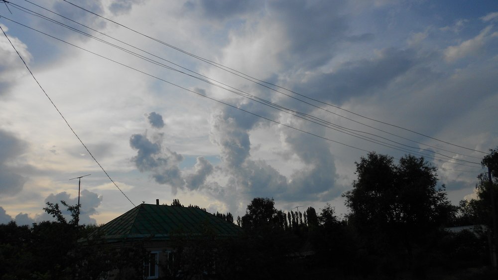 Photograph by Светлана Пивоварова