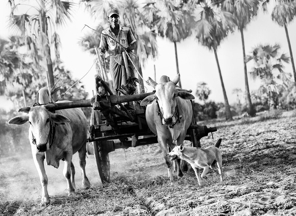 Photograph by yakov stavchansky