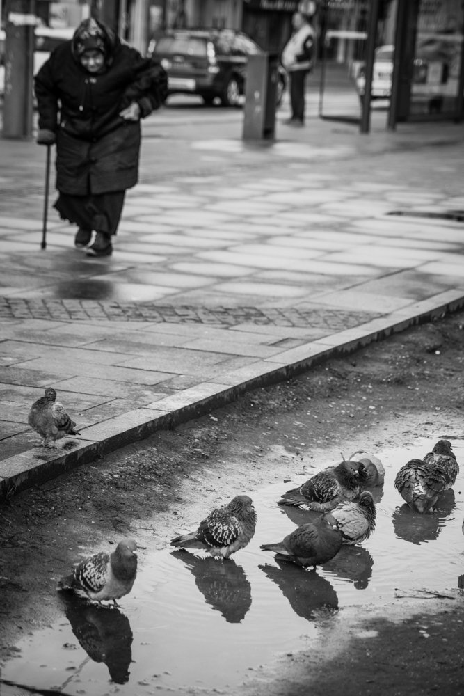 Photograph by Tanja Bažalac