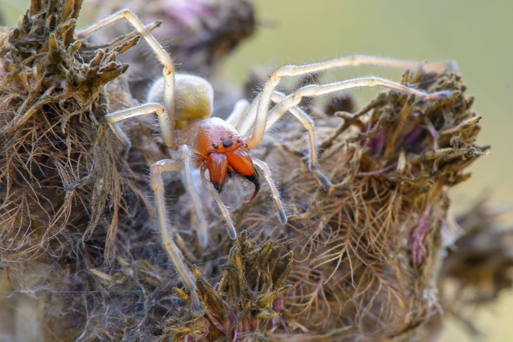 Photograph by Кузнецов Дмитрий