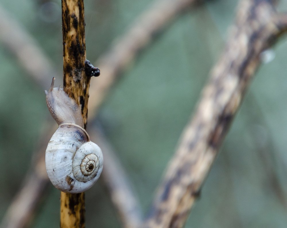 Photograph by Kaveh Nabizadeh