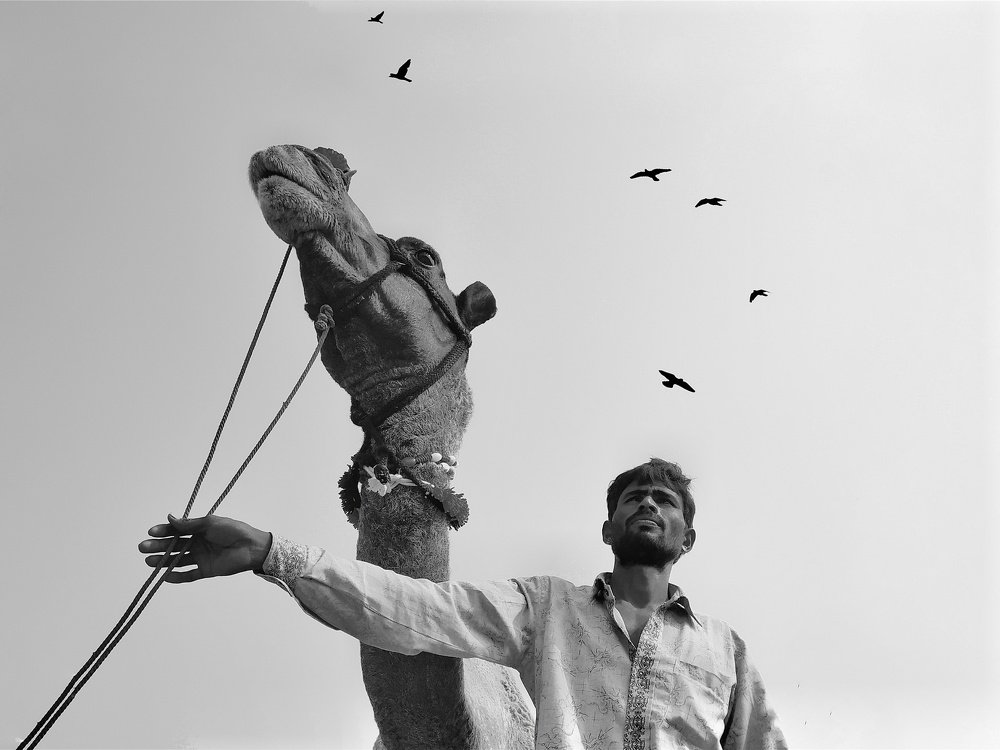 Photograph by Naman Shrivastava