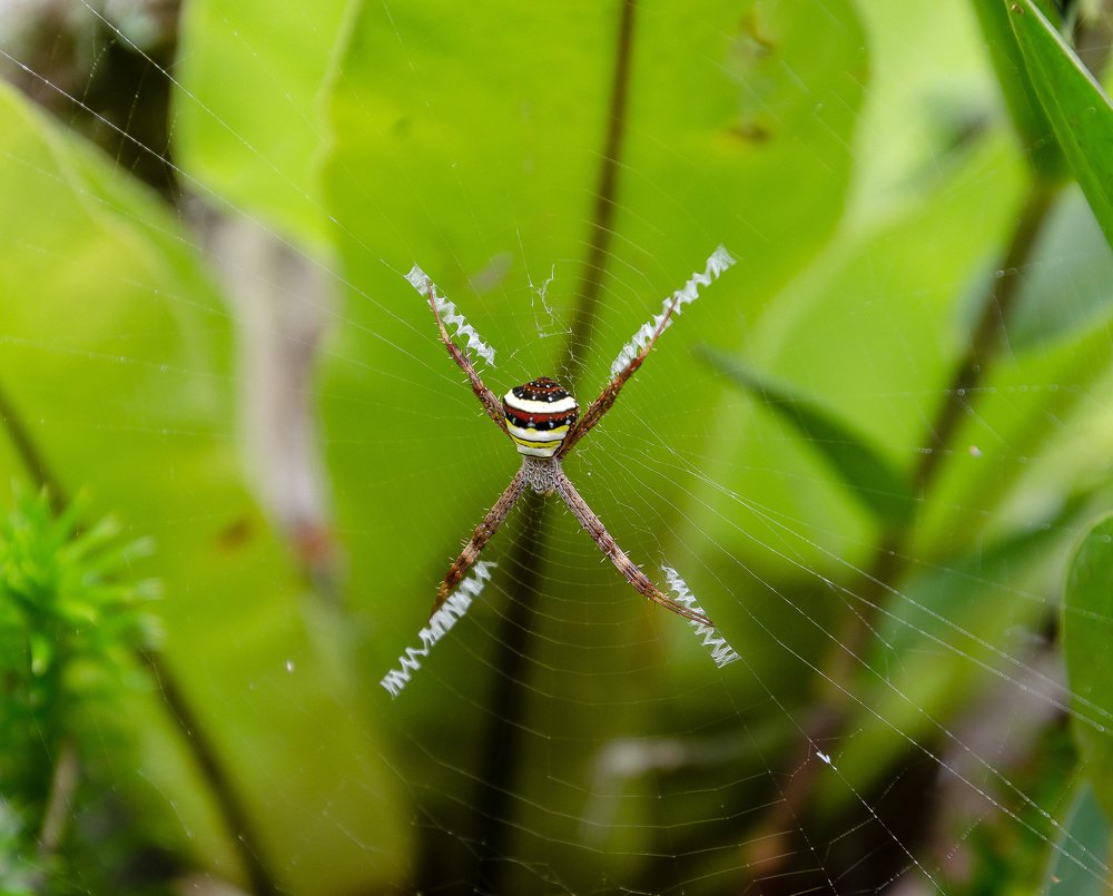 Photograph by Kaveh Nabizadeh