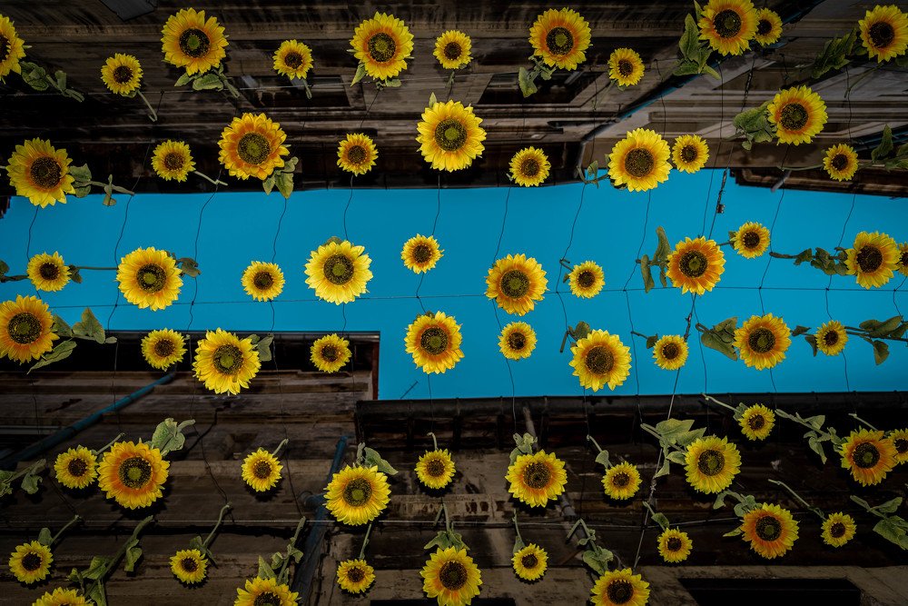 Photograph by Сергей