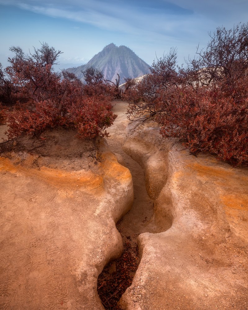 Photograph by Алексей Бойко