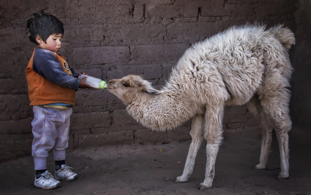 Photograph by María Florencia Rousseaux