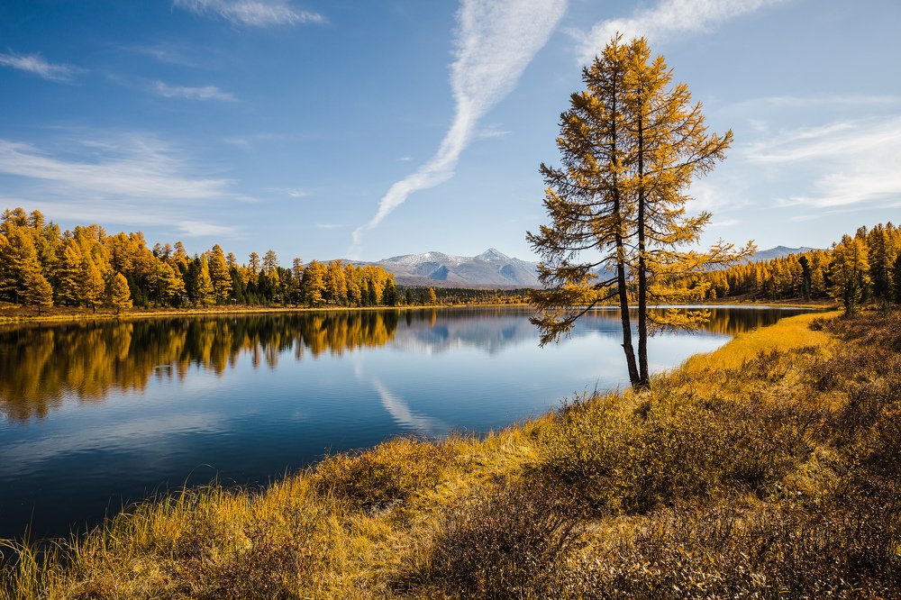 Photograph by Дмитрий Емельяненко