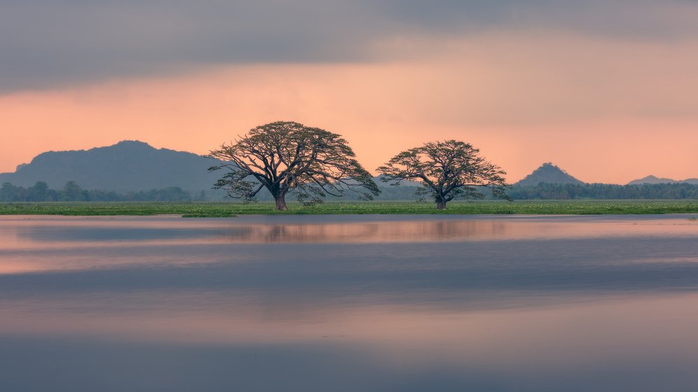 Photograph by Алексей Бойко