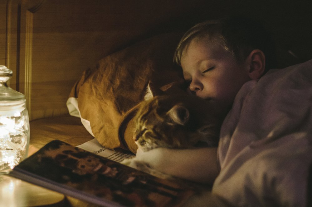 Photograph by Екатерина Андросова