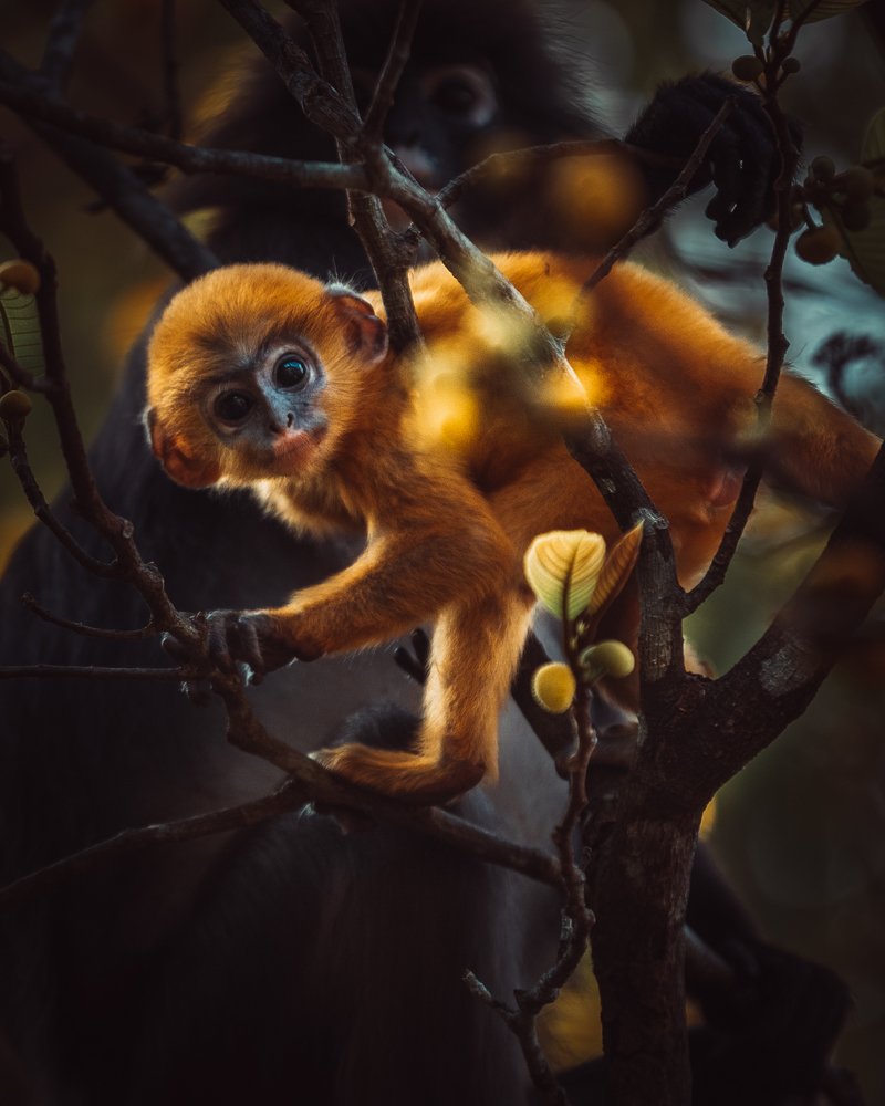 Photograph by Алексей Бойко