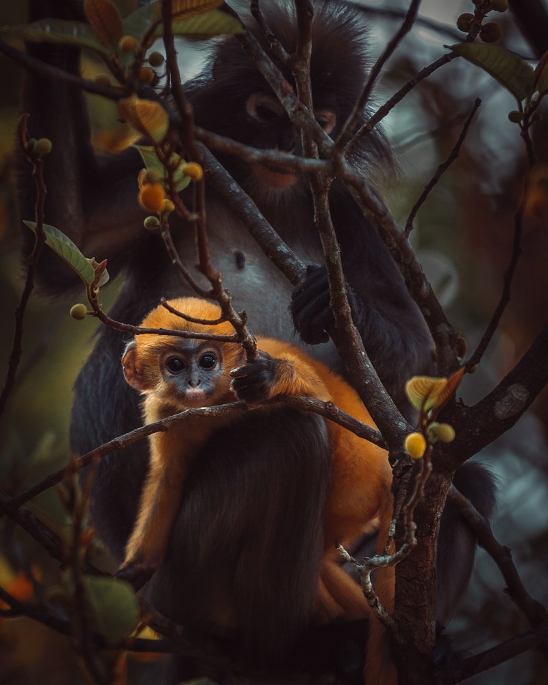 Photograph by Алексей Бойко