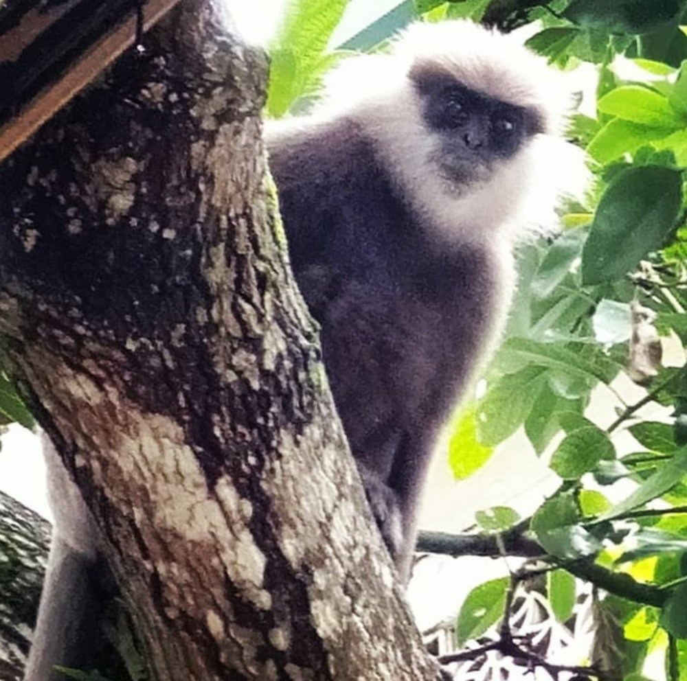 Photograph by Ruvi Herath